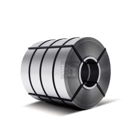 309/309S Stainless Steel Coil