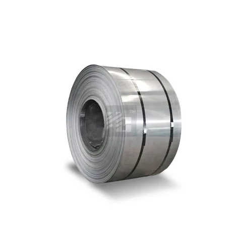 Hastelloy B-2 Coil